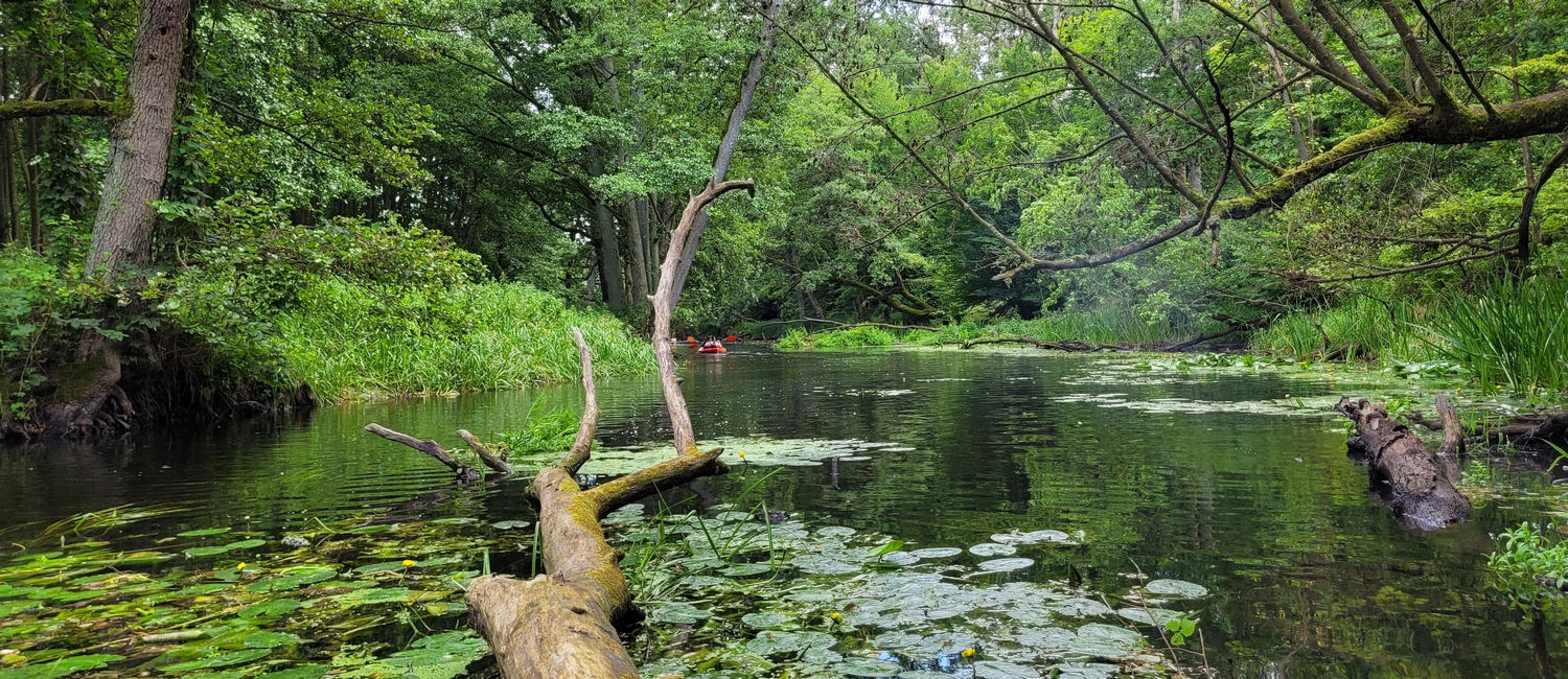 trasa kajakowa poznan
